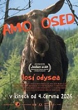 Plakát filmu AMOOSED: losí odysea